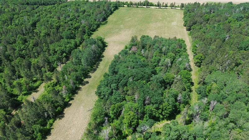 XXXX 159th Ave, Sebeka, MN 56477