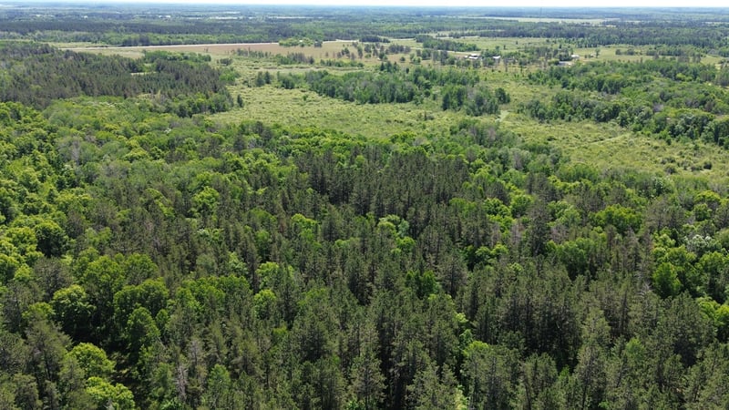 XXXX 159th Ave, Sebeka, MN 56477
