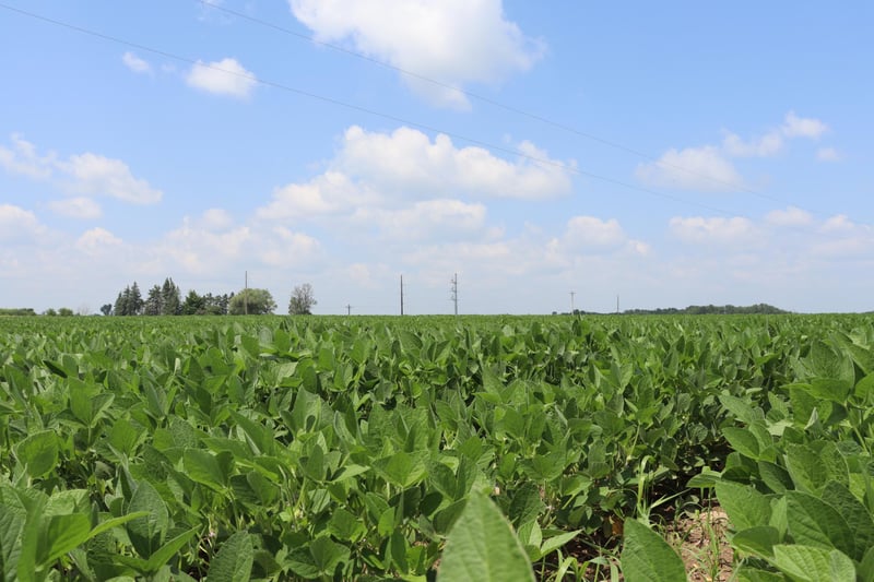 13186 Highway 95 NE, Foley, MN 56329
