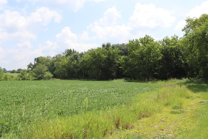 13186 Highway 95 NE, Foley, MN 56329