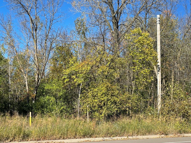 580 1st St, Milaca, MN 56353