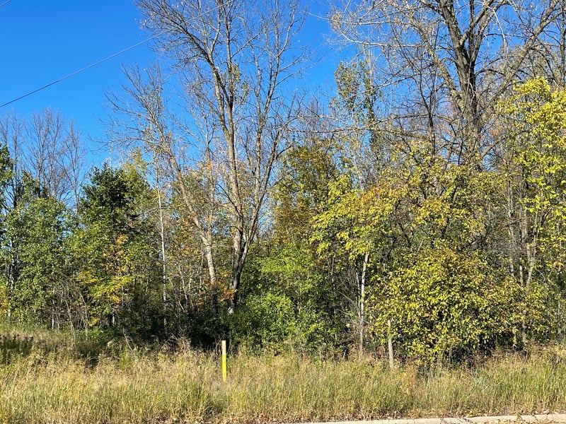 580 1st St, Milaca, MN 56353
