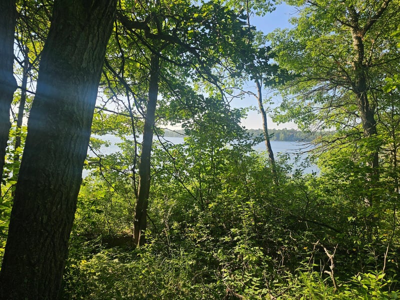 TBD Rabbit Lake Dr, Crosby, MN 56441