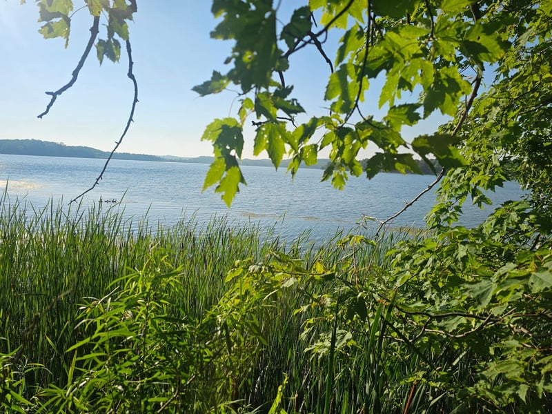 TBD Rabbit Lake Dr, Crosby, MN 56441