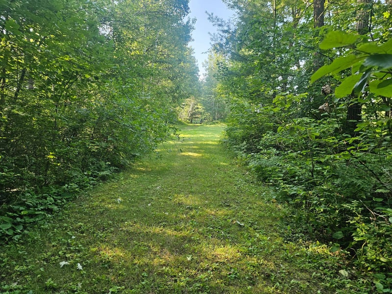 TBD Lot 1 Bunny Ln, Crosby, MN 56441