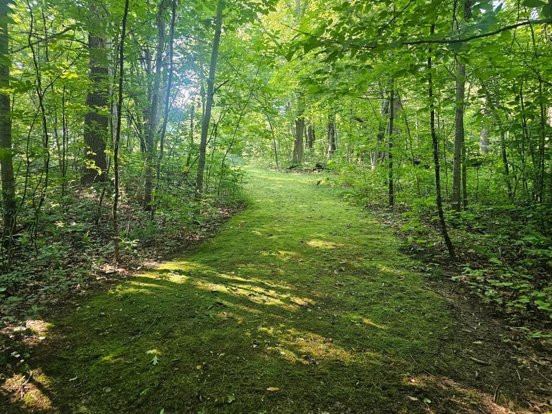 TBD Lot 2 Bunny Ln, Crosby, MN 56441