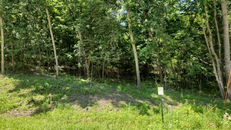 XXXX Cedar Beach Dr NW, Oronoco, MN 55960