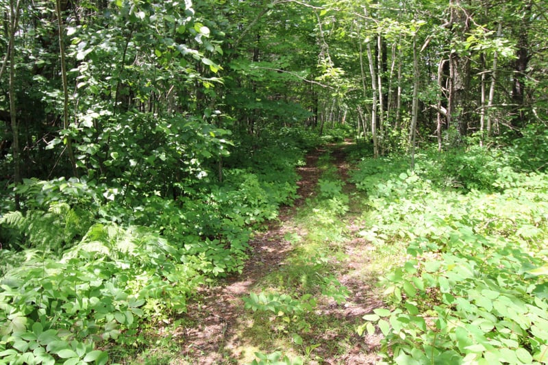 Tract A County Road 1, Emily, MN 56447