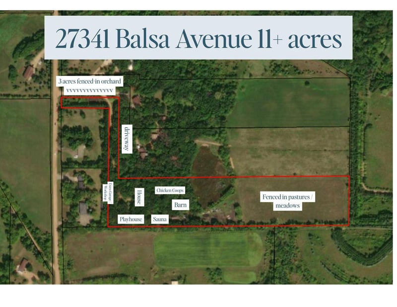 27341 Balsa Ave, Webster, MN 55088