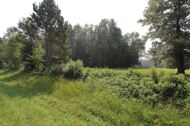 Tract B County Road 1, Emily, MN 56447