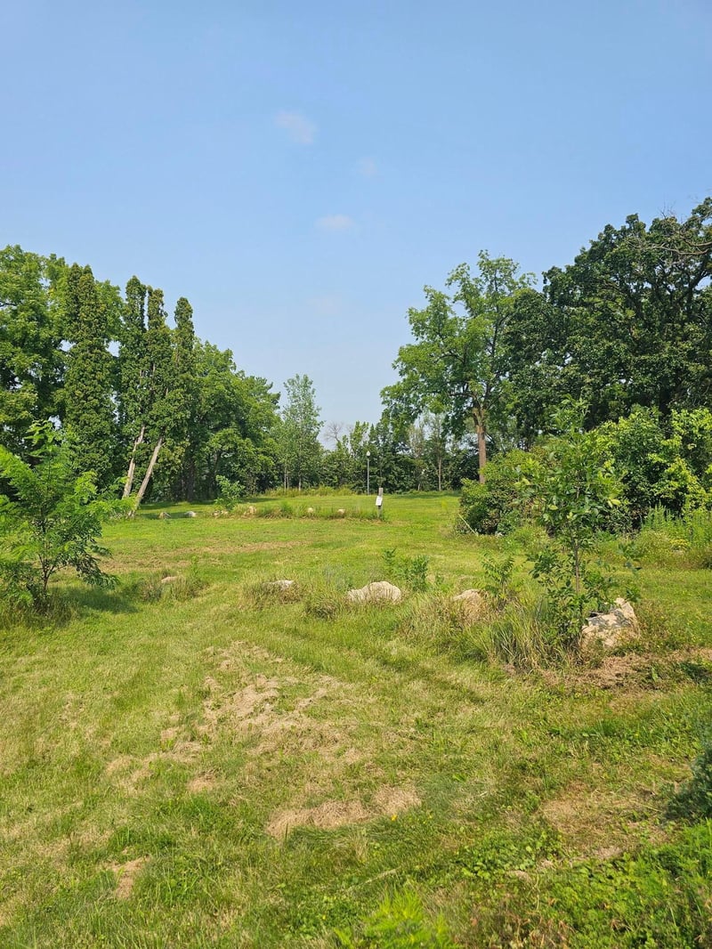 404 S Winter St, River Falls, WI 54022