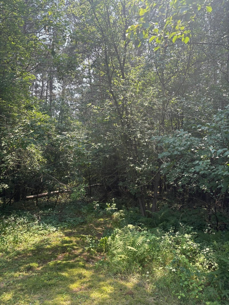 2131 N Brook View Dr, Mora, MN 55051