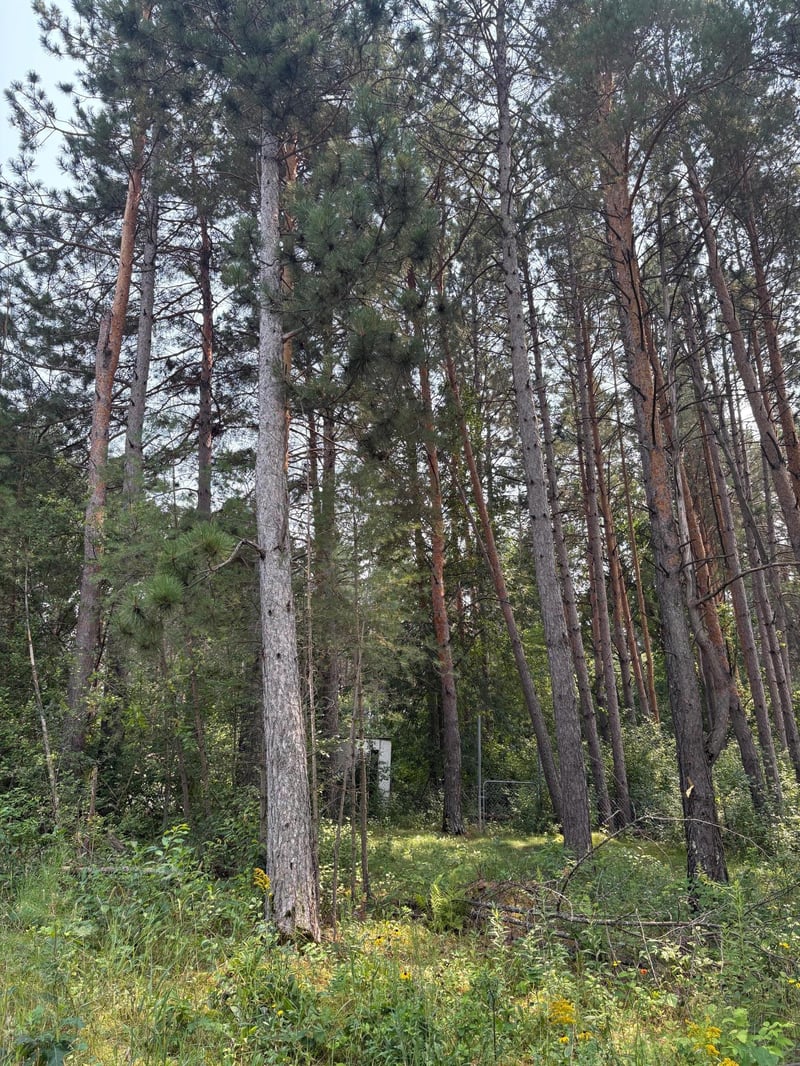 2131 N Brook View Dr, Mora, MN 55051