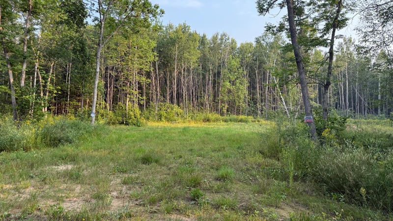 TBD160 Sunflower Rd, Kelliher, MN 56650