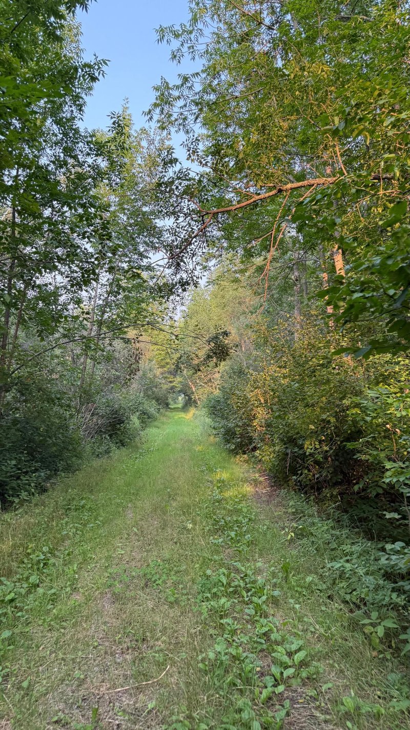 TBD160 Sunflower Rd, Kelliher, MN 56650