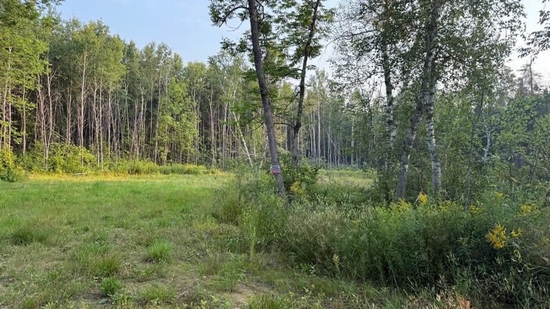 TBD160 Sunflower Rd, Kelliher, MN 56650