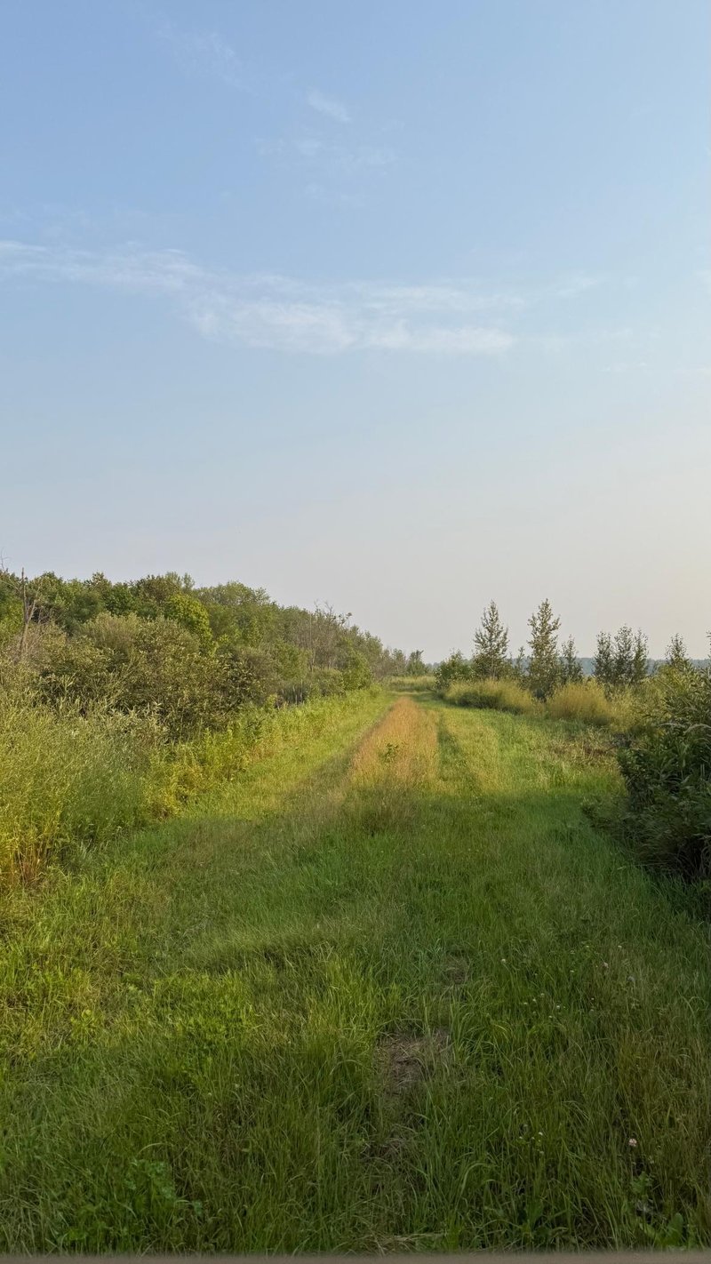 TBD160 Sunflower Rd, Kelliher, MN 56650