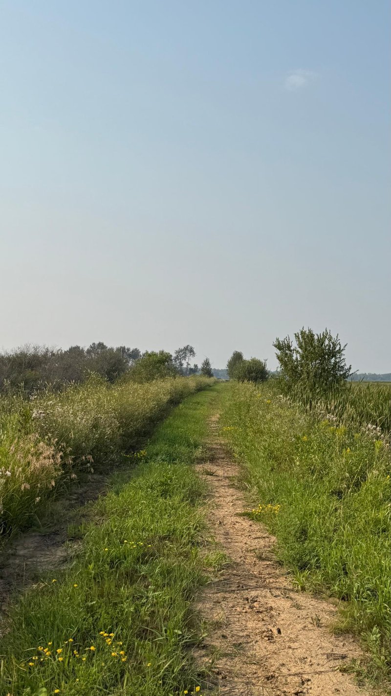 TBD5 Sunflower Rd, Kelliher, MN 56650
