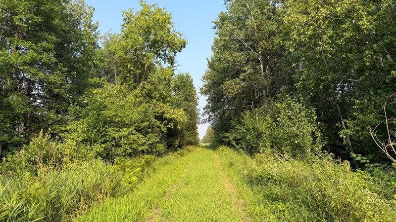TBD5 Sunflower Rd, Kelliher, MN 56650