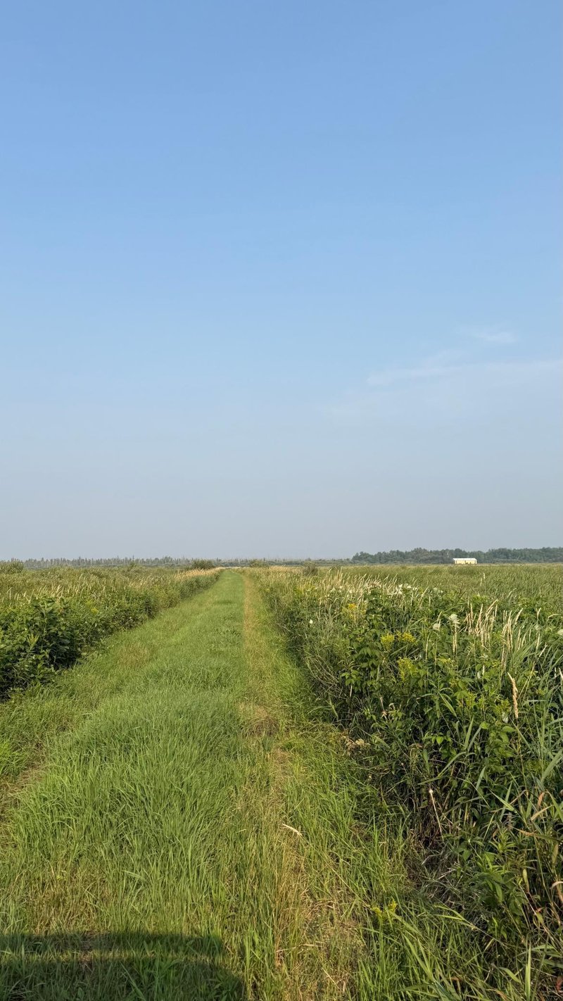 TBD5 Sunflower Rd, Kelliher, MN 56650