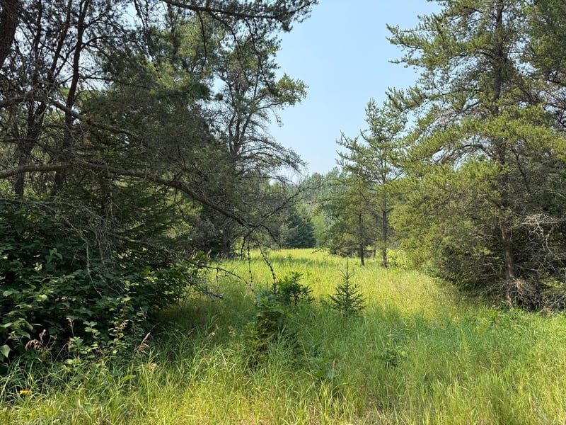 0 Ponderosa Rd NE, Kelliher, MN 56650