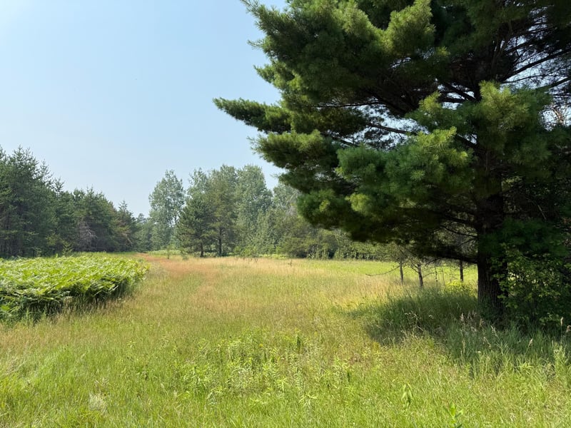0 Ponderosa Rd NE, Kelliher, MN 56650
