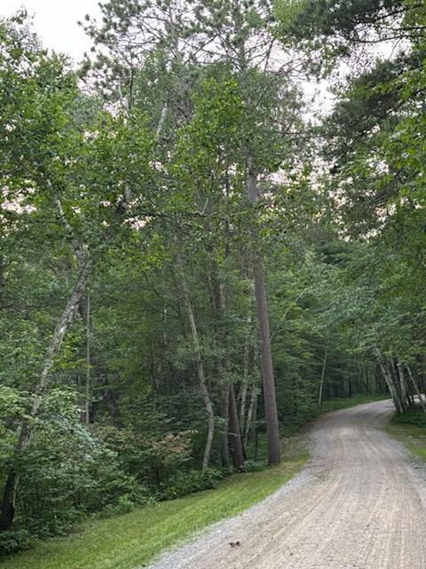 Tbd Hwy 84 Nw, Longville, MN 56655