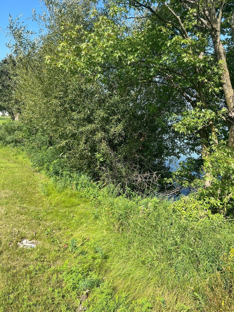 640 West Lake St W, Avoca, MN 56114