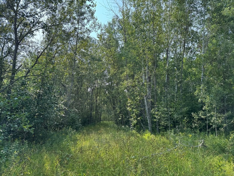 0 Willow Creek Rd NE, Kelliher, MN 56650