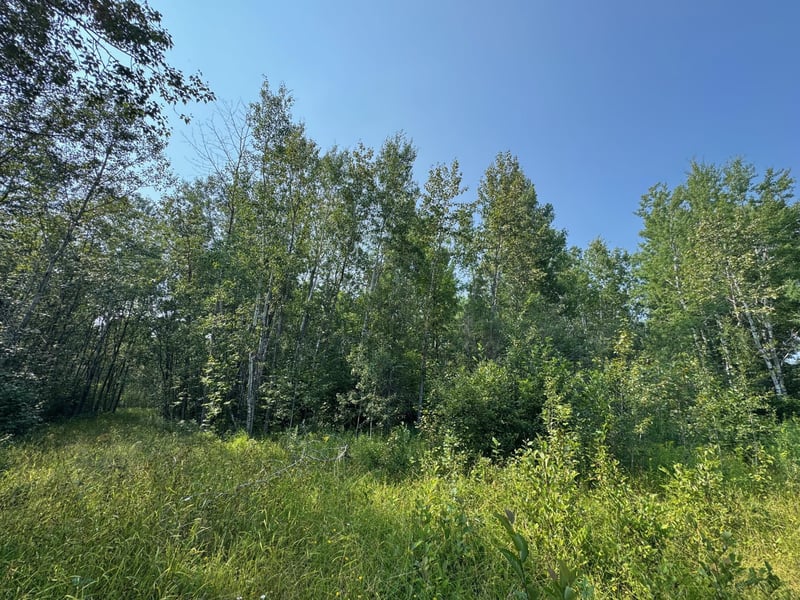 0 Willow Creek Rd NE, Kelliher, MN 56650