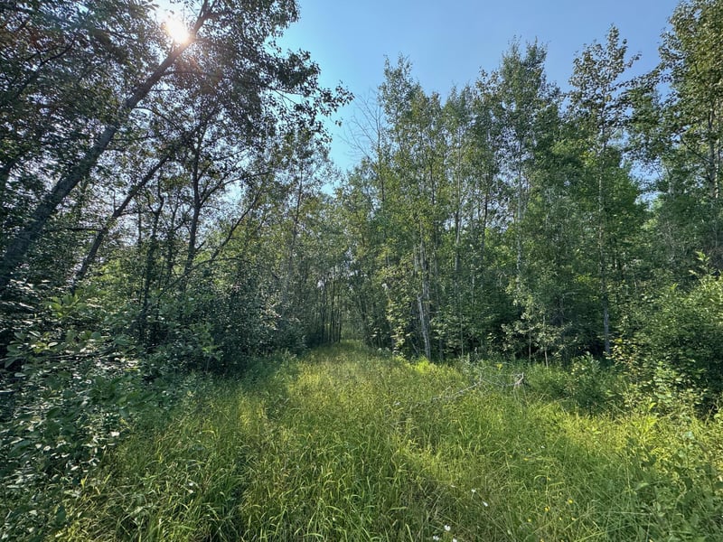 0 Willow Creek Rd NE, Kelliher, MN 56650