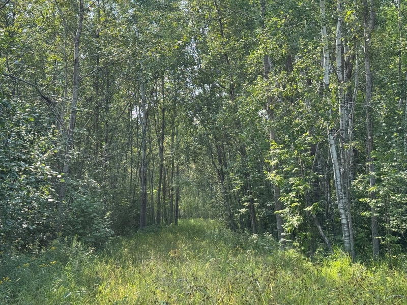 0 Willow Creek Rd NE, Kelliher, MN 56650