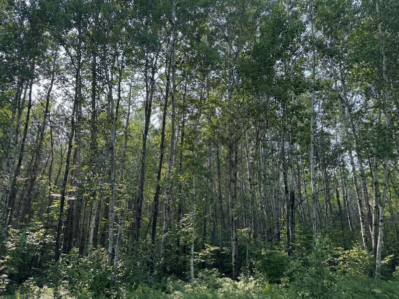 0 Willow Creek Rd NE, Kelliher, MN 56650
