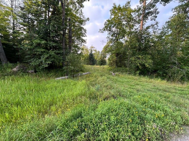 TBD Hwy 200, Hill City, MN 55748