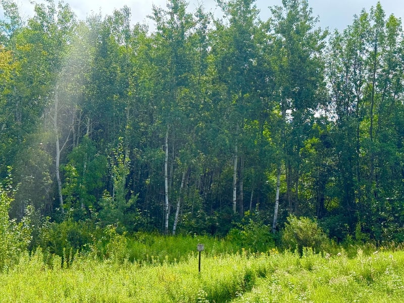000 370th Ave, Hillman, MN 56338