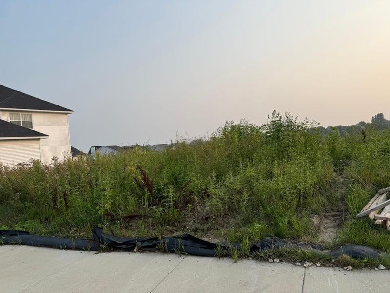 2049 Coneflower Point, Buffalo, MN 55313