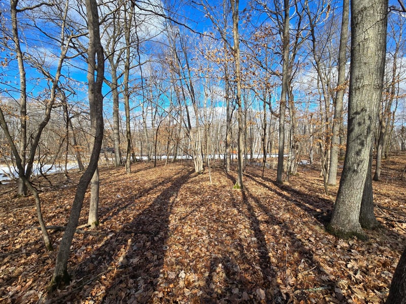 TBD Julep Trl, Forest Lake, MN 55025