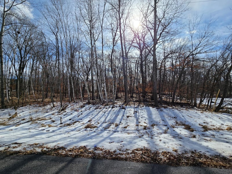 TBD Julep Trl, Forest Lake, MN 55025
