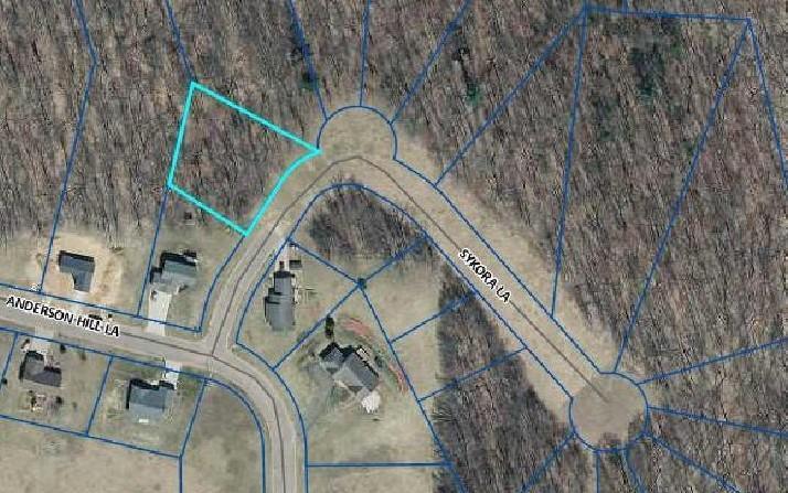 1441 Sykora Ln, Boyceville, WI 54725