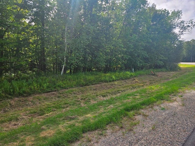 Lt 1 Blk 1 County Rd 238, Deer River, MN 56636
