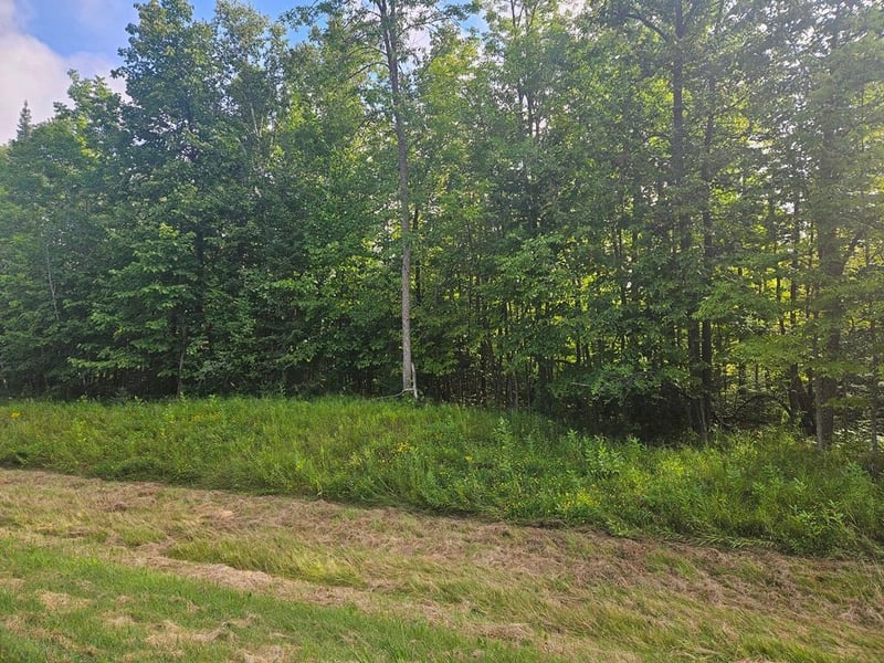 Lt 1 Blk 1 County Rd 238, Deer River, MN 56636