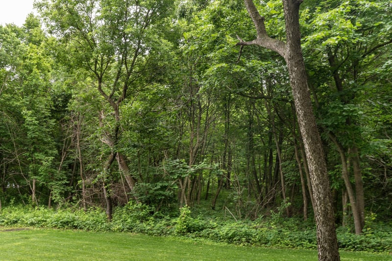 TBD West Point Trl, Richville, MN 56576