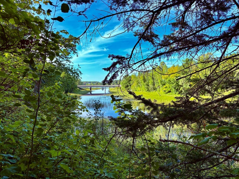 TBD 25th Ave Se, Baudette, MN 56623