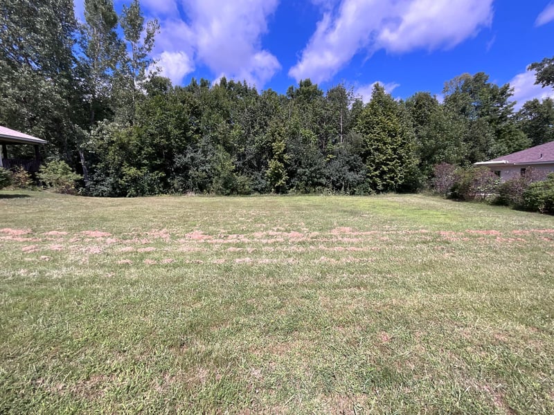 1703 Dale St, Saint Joseph, MN 56374