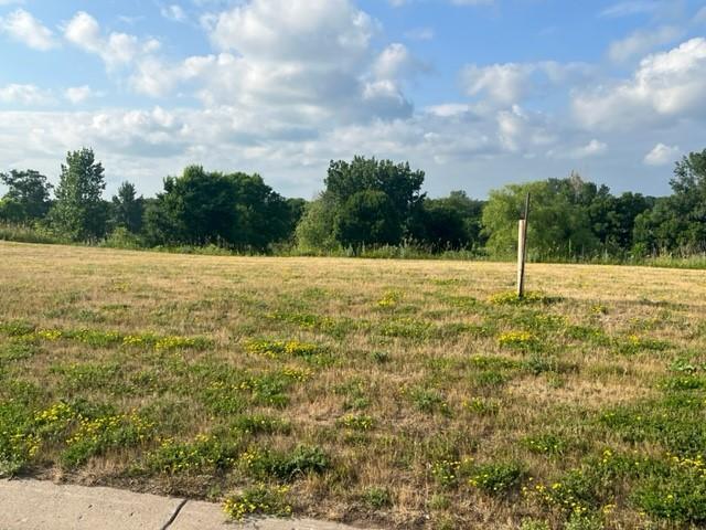 113 Par Dr, Albany, MN 56307