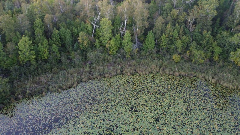 Parcel B E Gunn Lake Trl, Marcell, MN 56657