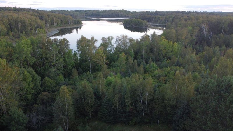 Parcel B E Gunn Lake Trl, Marcell, MN 56657