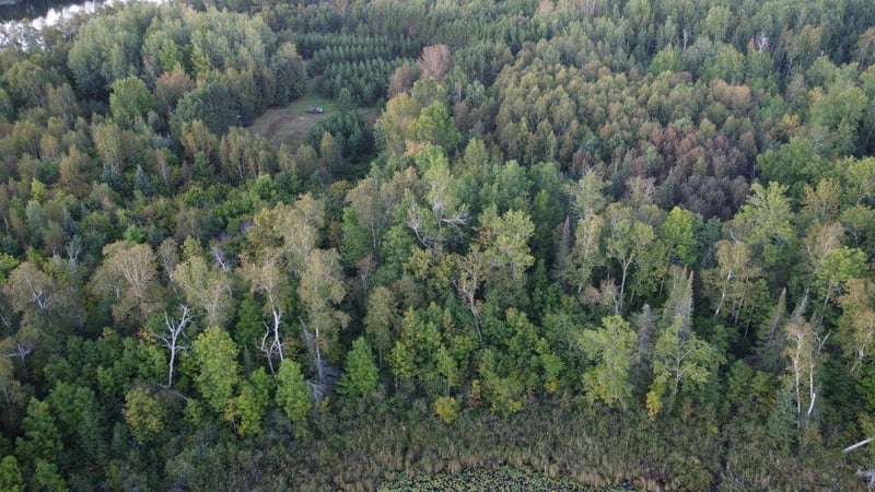 Parcel B E Gunn Lake Trl, Marcell, MN 56657
