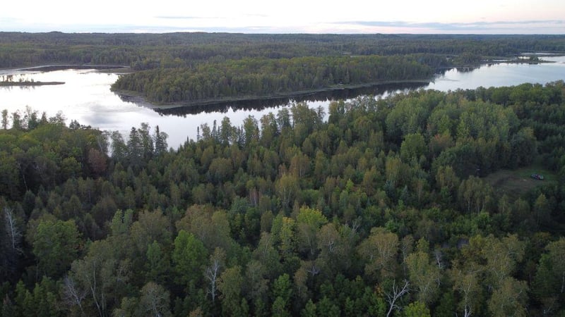 Parcel B E Gunn Lake Trl, Marcell, MN 56657