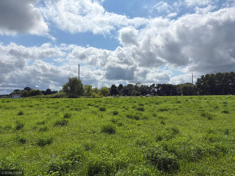 TBD Highway 55 W, Maple Lake, MN 55358